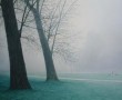 Kunstwerk bomen in de mist