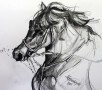 Kunstwerk Paard2
