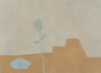 berglandschap met bloem berglandschap met bloem