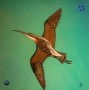 Compass Curlew Kunstwerk Compass Curlew