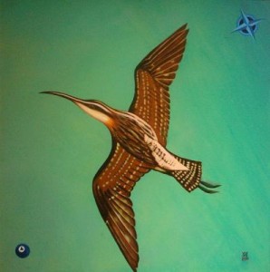 Compass Curlew Compass Curlew