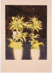 zonder titel (plant achter plakplastic) zonder titel (plant achter plakplastic)