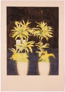 zonder titel (plant achter plakplastic) zonder titel (plant achter plakplastic)