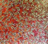 fractalgeneratie nr. 57 fractalgeneratie nr. 57