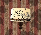 Lamp Lamp