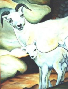Dalschaap met lam Dalschaap met lam