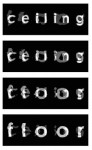 Transvariation #1 Transvariation #1