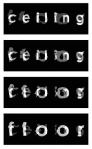 Transvariation #1 Transvariation #1