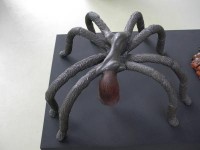 arachnofilia arachnofilia