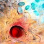selfhealing Kunstwerk selfhealing