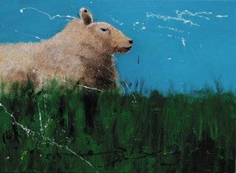 Schaap Schaap