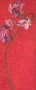 roze lathyrus op rood Kunstwerk roze lathyrus op rood