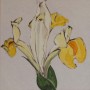 gele iris Kunstwerk gele iris