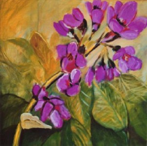 Schoenlappers bloem Schoenlappers bloem