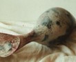 z.t.  5 liggend Kunstwerk z.t.  5 liggend