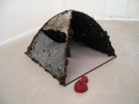 shelter shelter