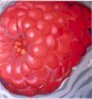 Raspberry Kunstwerk Raspberry