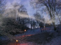 landscape landscape