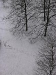 landscape1 landscape1
