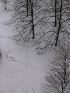 landscape1 landscape1
