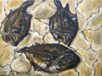 Scholletjes Scholletjes