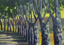 provence provence