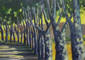 provence provence