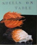 shells on table shells on table