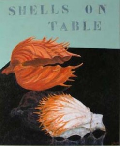 shells on table