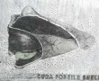 Cuba fossile shell Kunstwerk Cuba fossile shell