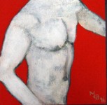 torso 5 torso 5