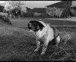 e romenge fotografie f 06 Kunstwerk e romenge fotografie f 06