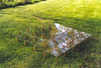 Glazen Veld Glazen Veld