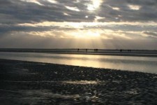 Sea Sea