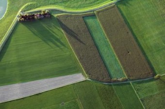 Green Holland Green Holland