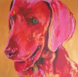 Rose Weimaraner