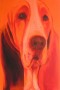 Oranje Basset Kunstwerk Oranje Basset