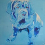 Blauwe Mastino Blauwe Mastino