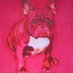 Rose Bulldog Rose Bulldog
