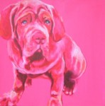 Rose Mastino Rose Mastino