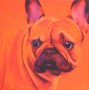 Oranje Bulldog Kunstwerk Oranje Bulldog