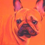 Oranje Bulldog Oranje Bulldog