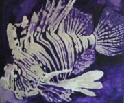 Purple Lionfish Purple Lionfish