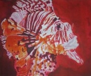 Red Lionfish Red Lionfish