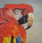 ara 2 Kunstwerk ara 2