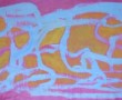 Orname Kunstwerk Orname
