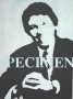 Specimen Kunstwerk Specimen