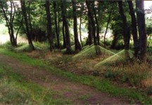 Webben. Webben.