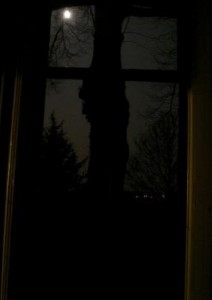 MAANLICHT MAANLICHT