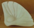 Sunshell Sunshell